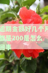 逾期几个月算不良，逾期几个月即为不良记录？理解贷款逾期对信用的影响