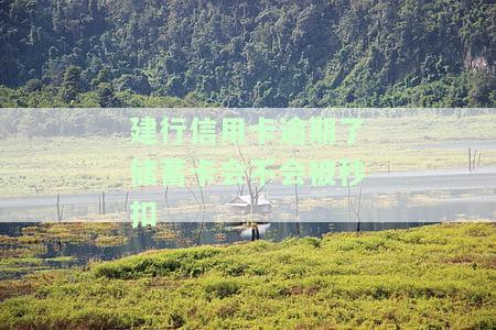 我建行信用卡逾期了从办个建行蓄卡他会自动扣钱吗，关于建行信用卡逾期问题：办理蓄卡会自动扣款吗？