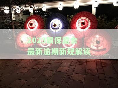 2023银保监会最新逾期新规解读全面解析视频