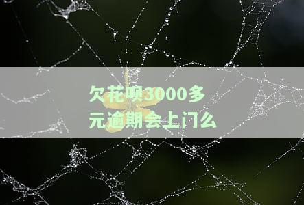 花呗欠三千多,逾期十个月会否上门催收？解决方案是什么？