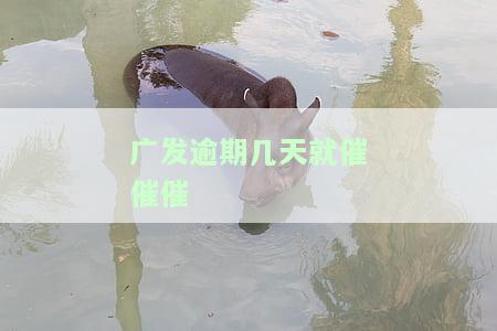 发银行逾期多久会进行家庭催收？详细解析与应对策略