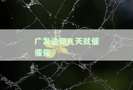 广发逾期几天就催催催