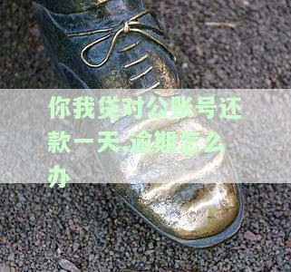 你我贷对公账户还款多久可以划清，如何在你我贷对公账户中快速完成还款？
