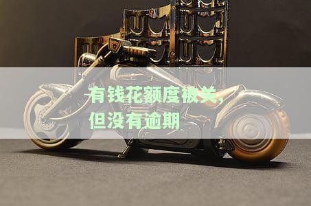 有钱花额度被关,但没有逾期