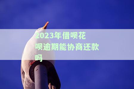 2023年借呗花呗逾期能否协商还款？详解流程与方法