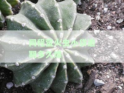 同程萤火虫小贷是否会上征信？逾期会受影响吗？借款后放款记录是否会出现在信用报告中？