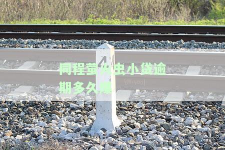 同程借钱萤火虫放款是否上征信？全网解析