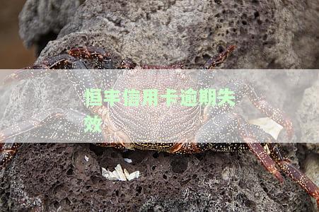 恒丰信用卡2021，恒丰银行信用卡2021年最新权益与申请攻略
