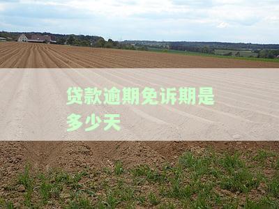 贷款逾期多久可申请减免息？费用与款额能否一并减免？