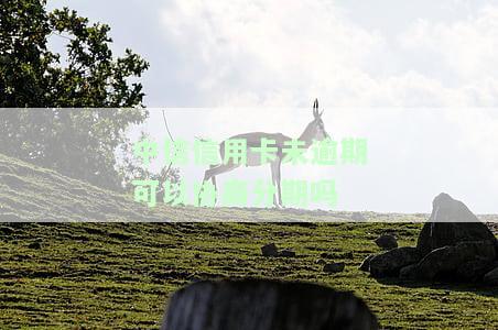 中信银行逾期能否申请二次分期？如何操作？安全性如何？