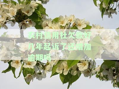 农村信用社欠款好几年起诉后逾期如何处理？