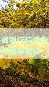 中国银行信用卡逾期能否减免？原因解析与还款建议