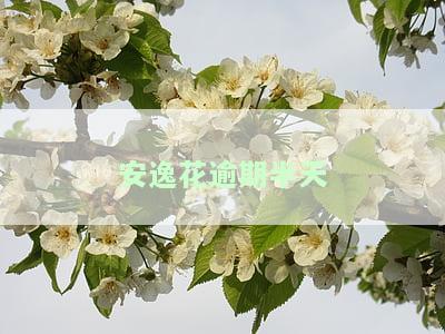安逸花逾期一天,就不能提现了,是不是以后都借不了了，安逸花逾期一天会影响再次借款吗？提现功能会受影响吗？