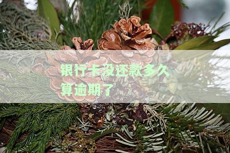 银行卡没还款多久算逾期了-银行卡没还款多久算逾期了呢