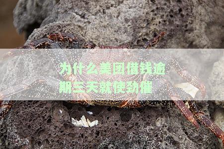 为什么美团借钱逾期三天就使劲催款，为何美团借钱逾期三天即被疯狂催收？