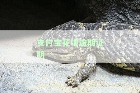 支付宝花呗逾期：界面图片及后果解析
