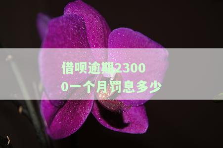 借呗25000逾期一天罚多少，【热点】借呗25000逾期一天，你将被罚款多少？