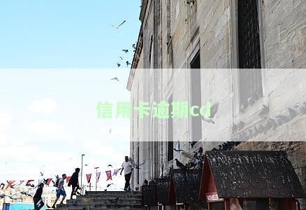 信用卡逾期CD值代表什么？含义及计算方法解析