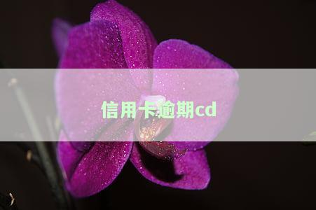 信用卡逾期蓄卡的钱能被划走吗，信用卡逾期，蓄卡里的钱会被划走吗？