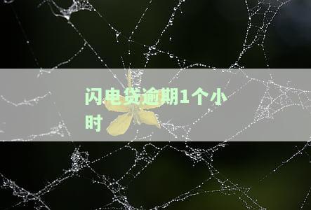 闪电贷逾期1个小时怎么办，闪电贷逾期1小时：如何应对并尽快解决问题？