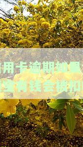 信用卡逾期如果余额宝有钱会被扣吗安全吗，信用卡逾期，余额宝会被扣吗？安全性如何？
