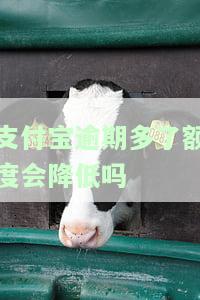 支付宝逾期多了额度会降低吗知乎，支付宝逾期多会导致额度降低吗？知乎用户分享经验与建议