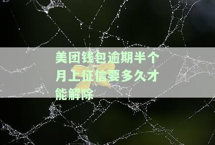 美团逾期多久会上征信？严重后果解析