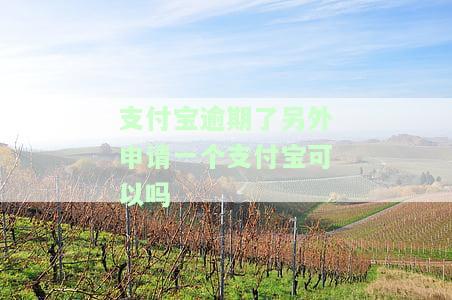 支付宝逾期另一个能用吗，支付宝逾期后，是否可以使用其他支付方式？