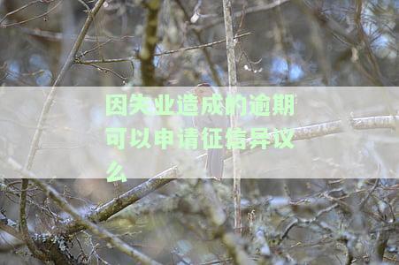 因失业造成的逾期可以申请征信异议么-因失业造成的逾期可以申请征信异议么