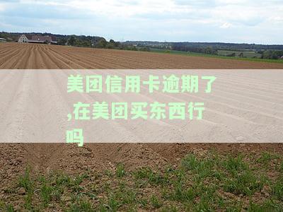 美团信用卡逾期了,在美团买东西行吗