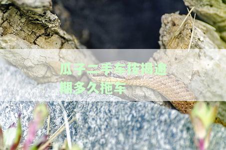 瓜子二手车不还贷，瓜子二手车：购车不还贷的风险与应对措