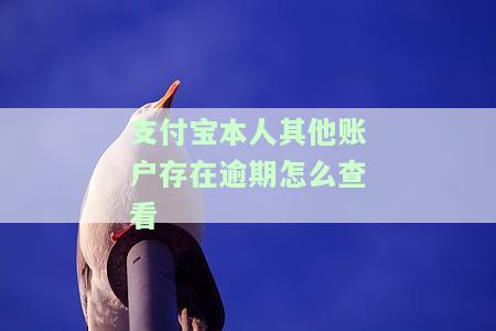 支付宝您的账户有逾期未还的账单，重要提醒：支付宝账户存在逾期未还账单，请及时处理