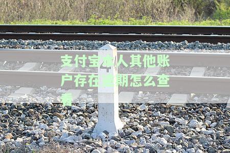 支付宝显示另一个账户有欠款没还怎么回事，困惑：支付宝显示另一账户有未还欠款，该如何解决？