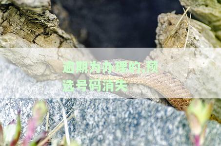逾期选号预选有效期止，别错过！你的逾期选号预选有效期即将截止