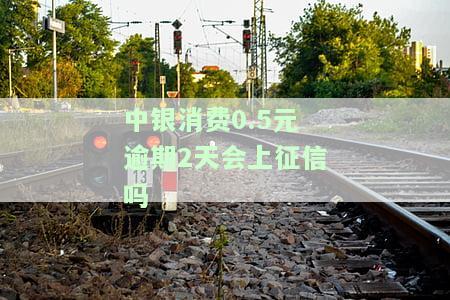中银消费逾期了,可以申请减免逾期费用吗，如何申请减免中银消费逾期费用？