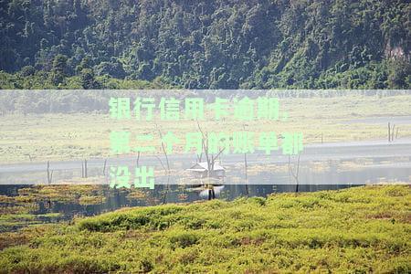 银行信用卡逾期,第二个月的账单都没出吗，为何银行信用卡逾期后，第二个月的账单还未发出？