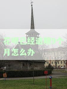 花呗已逾期9个月，如何解决？能否继续使用？