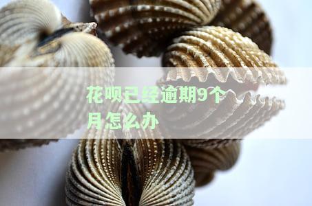 花呗逾期七八个月还了要什么时候才能用，花呗逾期七八个月后还款，多久可以再次使用？