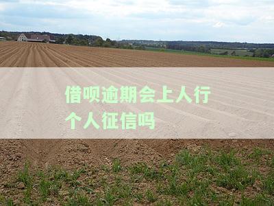 借呗逾期是否会影响人行个人征信？知乎用户分享经验与解答