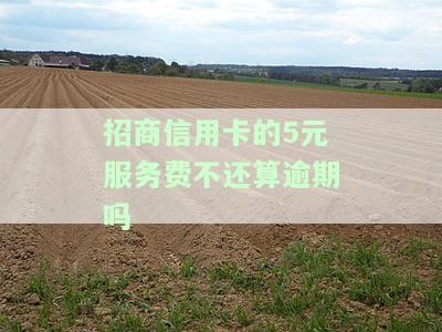 招商信用卡的5元服务费不还算逾期吗知乎，关于招商信用卡5元服务费：是否算作逾期？——知乎上的讨论