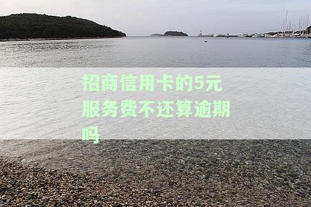 招商银行信用卡5元费用，揭秘招商银行信用卡5元费用，你是否被套路了？