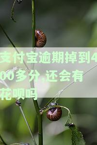 支付宝4千多逾期300天：如何处理及可能后果？