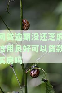 芝麻逾期后还能贷款吗？影响征信和申请信用卡吗？