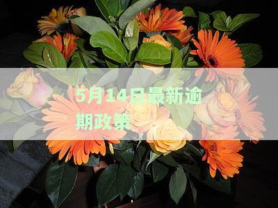 2020逾期新政策，深入了解2020年逾期新政策：影响与应对策略