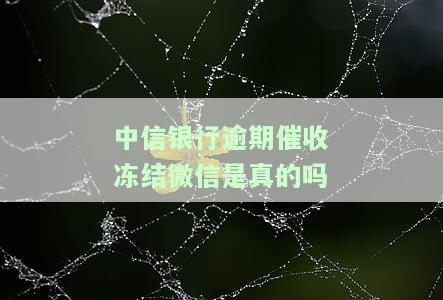 中信银行逾期了,今天本地的打电话说找我协商,是真是假？逾期3000元私人号码说要上门可信吗？