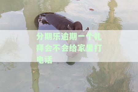 分期乐逾期一个月了会不会到我家找我，逾期一个月，分期乐会派人来找你吗？