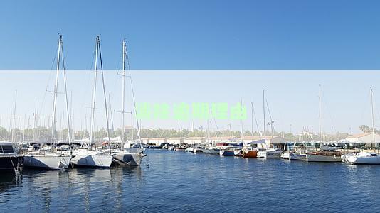 申请消除逾期记录：审批时间及流程