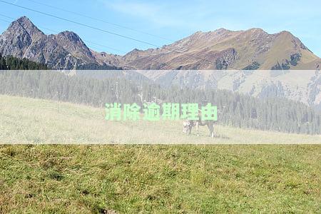 成功消除逾期：专业征信修复技术，助力你消除逾期记录