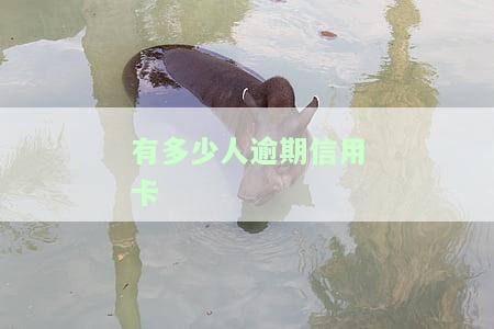 有多少人逾期信用卡不能用？情况严重，需引起注意！
