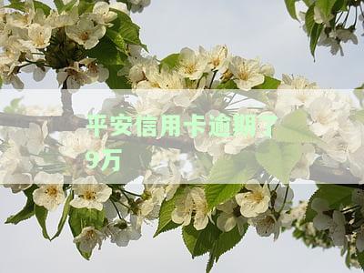 平安信用卡逾期了9万怎么办，信用卡逾期9万，如何处理？